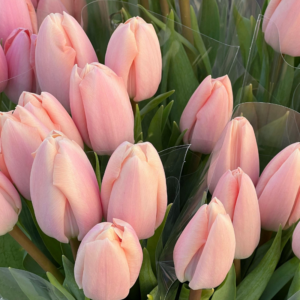 Ramos de Tulipanes