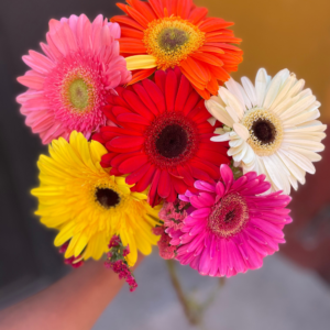 Ramos de Gerberas